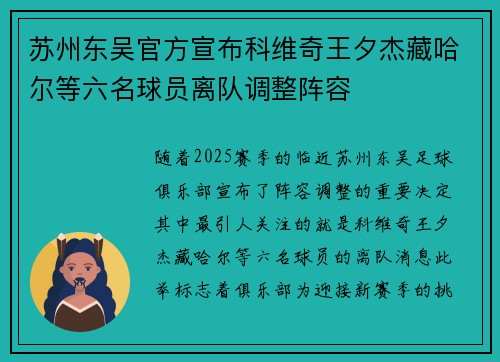 苏州东吴官方宣布科维奇王夕杰藏哈尔等六名球员离队调整阵容