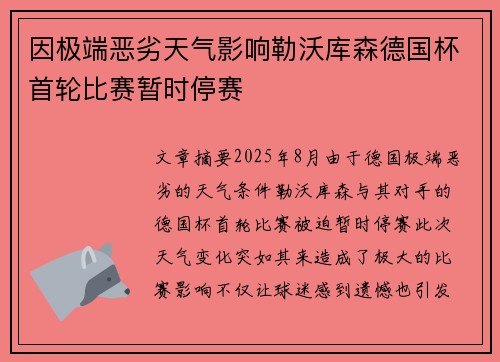 因极端恶劣天气影响勒沃库森德国杯首轮比赛暂时停赛