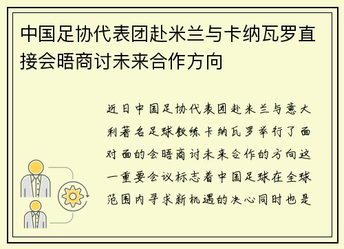 中国足协代表团赴米兰与卡纳瓦罗直接会晤商讨未来合作方向